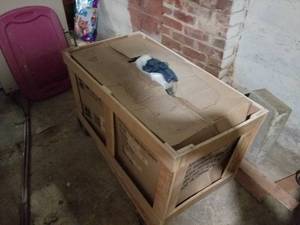 lot 800A image: United States Stove Company Stove Assembly