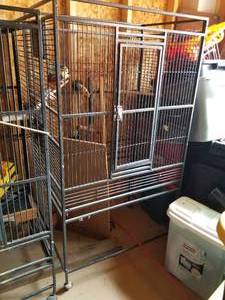 lot 806 image: Bird Cage