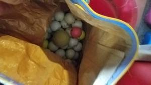 lot 697 image: Golf Balls, Tennis Balls, Tennis Rackets, Racket Covers, Wood Racket Holder, Misc. Sporting Goods