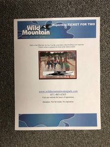 lot 6 image: Wild Mountain Superday Ticket for Two People #1