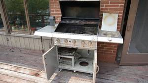 Professional Outdoor Propane Gas Grill--With Rotisserie