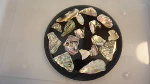 Hand Made Collectors Item With Abalone Shells From The Ocean On It