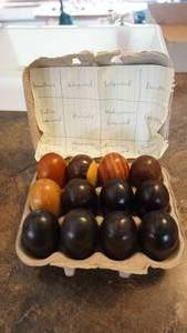 A Variety Of Twelve Wood Eggs
