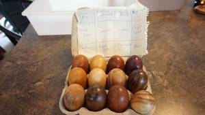 A Variety Of Twelve Wood Eggs