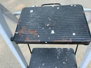 lot 109 image: Tricam 3 Step Stool