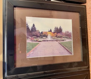 lot 200 image: 4 Black Frames with Photos