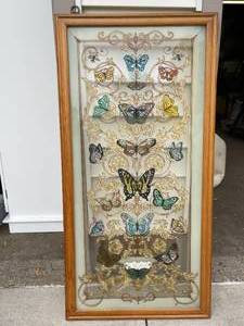 lot 188 image: Painted Glass Butterfly Themed Wall Hanging
