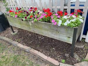lot 330 image: 2 Wooden Raised Planter Boxes Full Of Plants