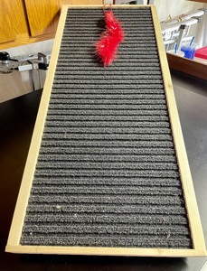 lot 479 image: Charming Cat Ramp