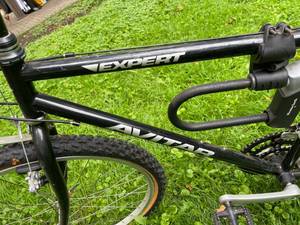 lot 410 image: Expert Avitar 21 Speed Bike