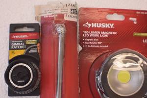 Gimbal Ratchet LED Work light