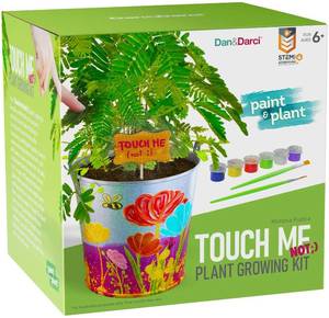 lot 25 image: Dan & Darci  Touch Me Not Plant Growing Kit