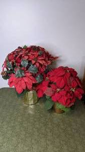 lot 195 image: Set of 2 Christmas Faux Poinsettias
