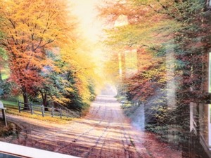 lot 114 image: Framed The Glory of Autumn Print