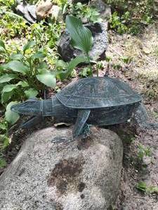 Metal Lighted Turtle