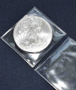 lot 819 image: 2013 Silver Eagle BU