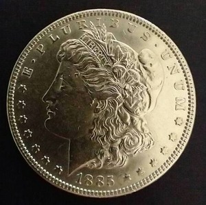 1885 Morgan Dollar