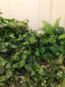 lot 94 image: Lot of 15 Silk Greens