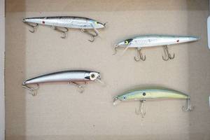 Fishing lures