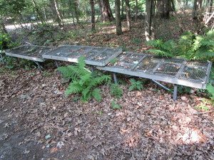 Nursery Benches
