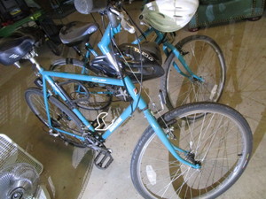 Bridgestone Bicycles
