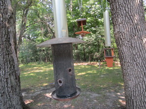 Bird Feeders