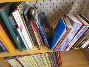 Books - College, Bonsai, Paper Airplanes