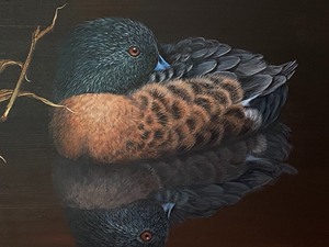 lot 42 image: Painting by Barnes of a Chestnut Teal