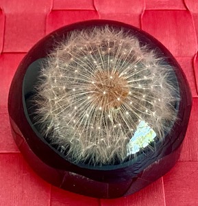 lot 277 image: Beautiful and Unique Dandelion Paper Weight