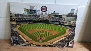 lot 49 image: Beautiful 2010 Inaugural Season Target Field Print 33 x 22