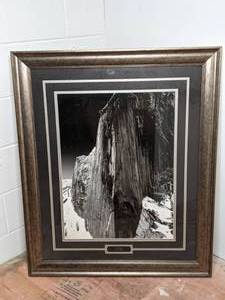 lot 63 image: Stunning Ansel Adams Monolith Framed 37 x 31