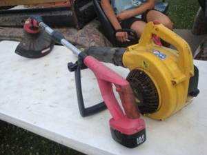 Leaf blower and weedwhip