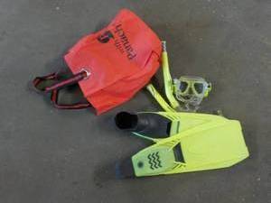 Swimming Toys in a Bag...