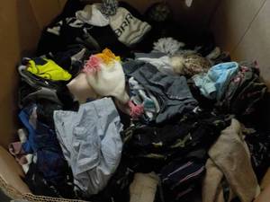 Large Amount of Clothing for all Se...
