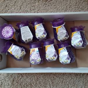 Great Scents Lavender and Chamomile...