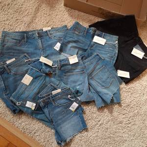 Universal Thead Ladies Shorts New ...