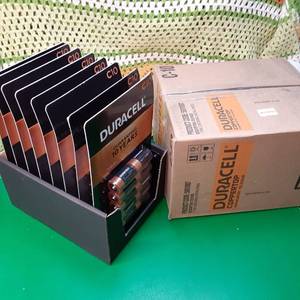 (80 ct.) Duracell Coppertop (Size ...