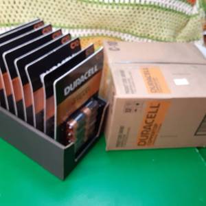 (80 ct.) Duracell Coppertop (Size ...