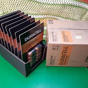(80 ct.) Duracell Coppertop (Size ...