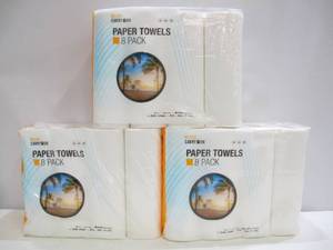 lot 823 image: Miami Carry On Paper Towels - 24 Rolls - 1 Case