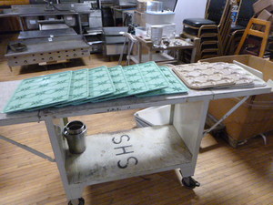 10 Drying Trays