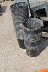 lot 198 image: Lot of (30) Plastic Plant Pots