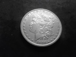 1880 Morgan Silver Dollar