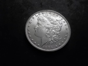 1896 Morgan Silver Dollar