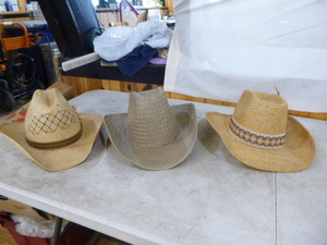 3 Straw Hats