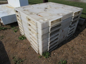 lot 19 image: Plastic Pallets