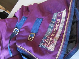 lot 81 image: Kensington Horse Blanket