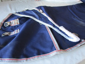 lot 85 image: Weather Beeta Fly Sheet