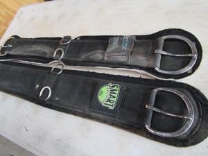 lot 56 image: Cinches