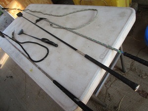 lot 100 image: Whips, Quirts